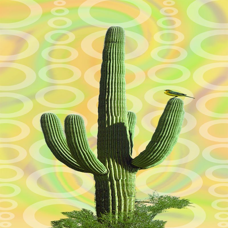 SOLYX Arizona — additional manufacturer product photo