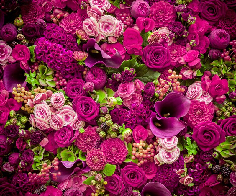 SOLYX SX-IM605 Fushia Foliage — additional manufacturer product photo
