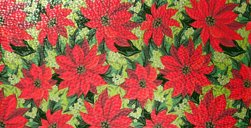 SOLYX SX-SC219 Poinsettias — additional manufacturer product photo