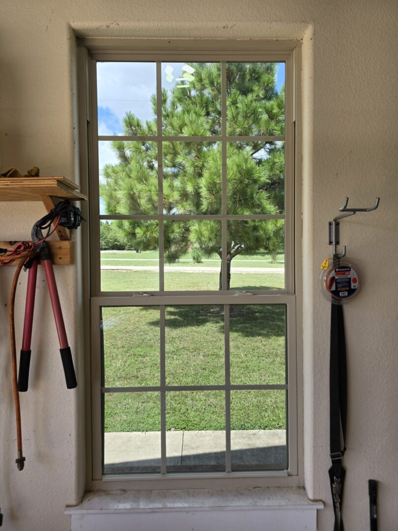 A window with a view of the yard.